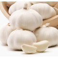 Cheap Chinese Garlic Pure White